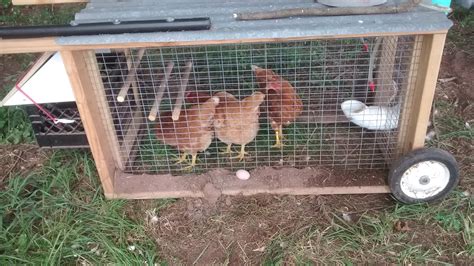 Member numerous pages on aviaries, chook pens and and animal enclosures below is a small selection of the enclosures we offer. Backyard Chicken Pen Plans (holds 3 birds) - Sunnyside Farm