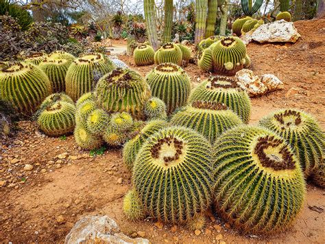 We did not find results for: Botanischer Garten Mallorca : Feld Und Garten 160 Meter ...