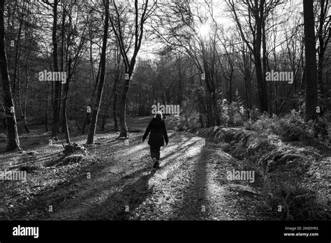 Woman Walking In Woodland In Winter Backlit In Black And White Stock