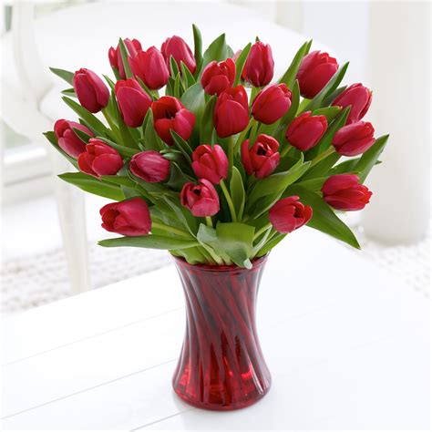 Red Tulips Are The Second Most Popular Bloom Sent On Valentines Day