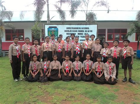 Pada kesempatan kali ini kita masih akan belajar materi mengenai surat, yaitu contoh surat pernyataan. SURAT KETERANGAN KEPALA SEKOLAH PENGAMBILAN/PENCAIRAN DANA ...