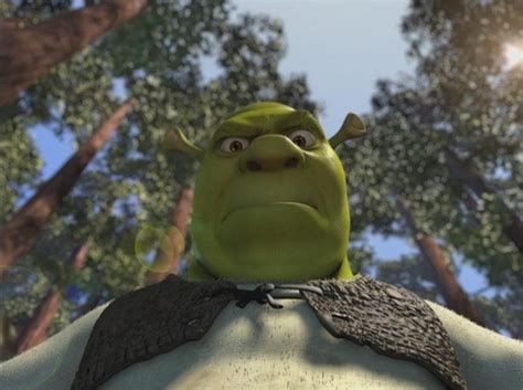 Shrek Monster Wiki A Reason To Leave The Closet Closed And Saw The