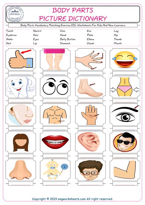 Body Parts Bingo English Esl Powerpoints For Distance Learning And 0ef