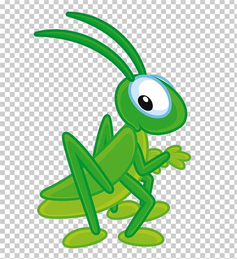 Cricket Insect Cartoon Images Free