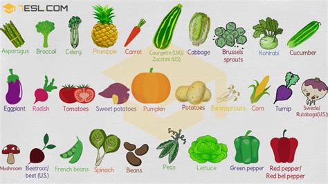List Of Vegetables 200 Vegetables Names With Cool Pictures 7esl