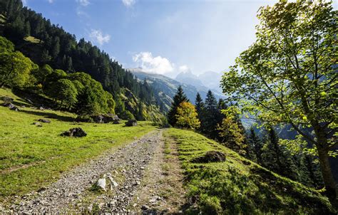 Wallpaper Forest Summer The Sky Trees Mountains Trail Germany