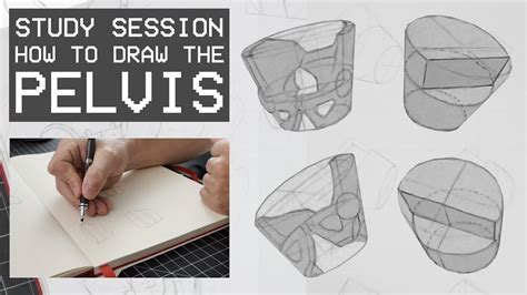 How To Draw The Pelvis The Bucket Method Study Session Youtube