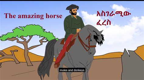 አስገራሚው ፈረስ The Amazing Horse Story Fairy Tales In Amharic
