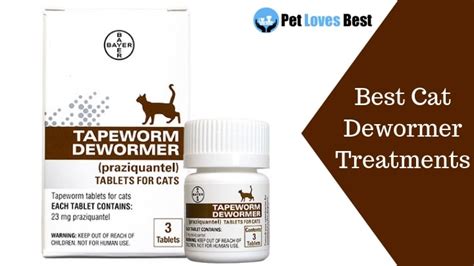 The 10 Best Cat Dewormer Treatments Of 2021 Reviews