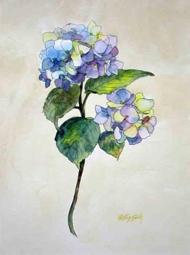 Daily Paintworks Botanical Hydrangea Commission Original Fine Art