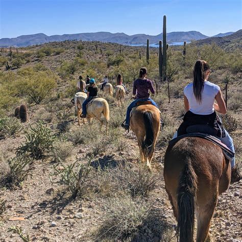 Horseback Riding In Phoenix Horse Trail Ride Outfitters To Try
