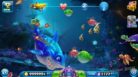 Crazy Fishing Game Play Crazy Fishing Online For Free At