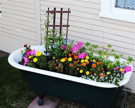 These flowers are also called as lady in a bath flowers. i've always wanted bathtub with flowers in it | Garden tub ...