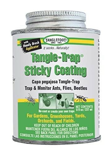 Ortho Tanglefoot Tangle Trap Sticky Coating Can With Brush Cap 8 Oz