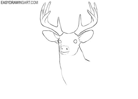 Aggregate More Than 160 Easy Simple Deer Drawing Latest Vn