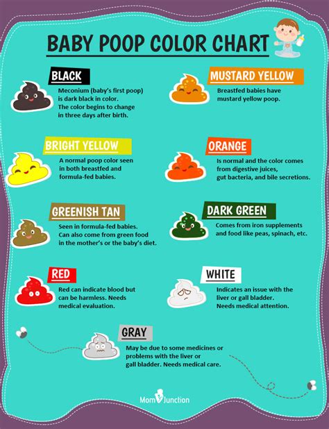 What Do The Color Of Poop Mean The Meaning Of Color