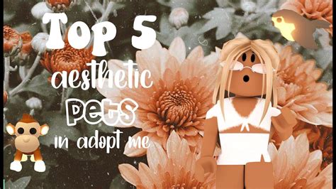 Top Five Aesthetic Pets In Adopt Me ♡ Hunixia Youtube