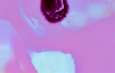 Crip Conversations — David Adelman