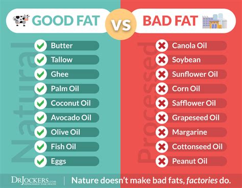 Top 3 Healthy Fats And Which Fats To Never Eat