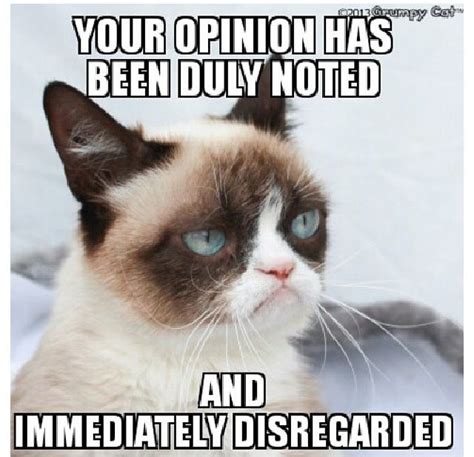 Your Opinion Has Been Duly Noted And Immediately Disregarded Grumpy