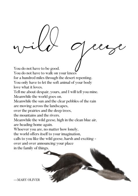 Wild Geese By Mary Oliver A Dive Into My Favorite Poem · Letters And