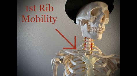 1st Rib Mobility Youtube