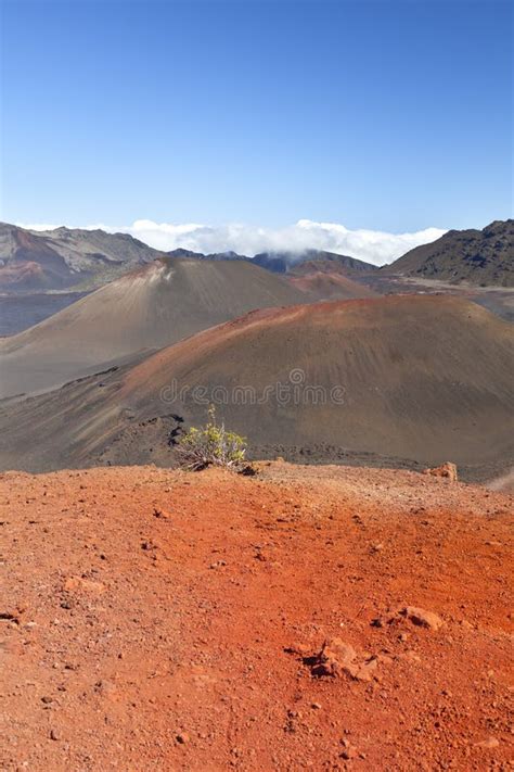 Haleakala Crater Maui Hawaii Stock Photo Image Of Lava Footpath