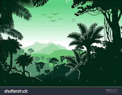 Vector Tropical Rainforest Tropical Rainforest Rainforest Abstract
