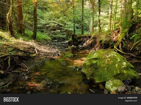Rainforest River Image And Photo Free Trial Bigstock