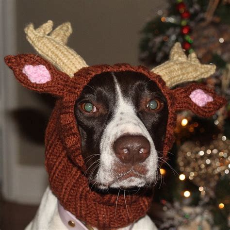 Crochet Reindeer Dog Hat Pattern Crochet News