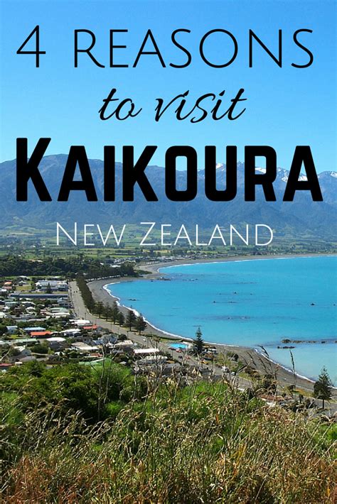 4 Reasons You Should Visit Kaikoura New Zealand New Zealand Travel