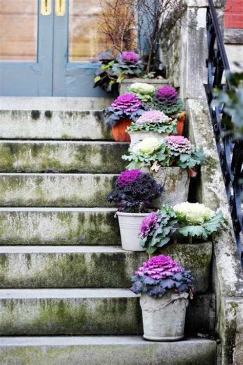 Kreative deko und gartenideen mit knappem budget kreative. Garten Deko Ideen - Die Garten- oder Haustreppe mit Blumen ...