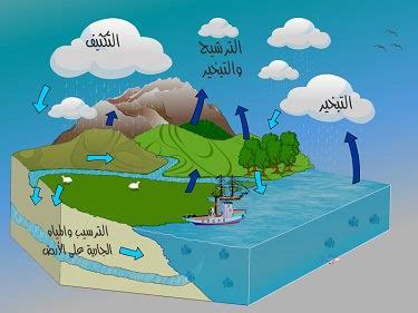 اجمل صور في, شاهد صور رائعة فالطبيعة دورة الماء في الطبيعة بالصور