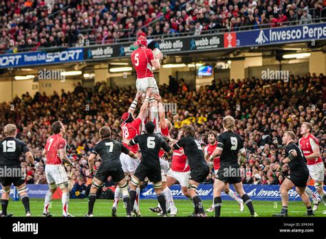 Wales Win Line Out Wales V New Zealand The All Blacksnew Zealand
