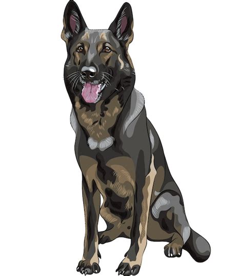 Premium Vector Color Sketch Black Dog German Shepherd Breed