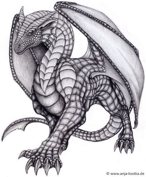 Cool Dragon Drawing The Sketches Arent That Special They Are There