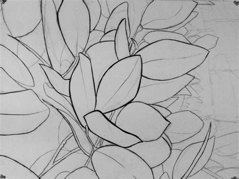 Basic Drawing 1 Free Hand Perspective Plants And Flowers