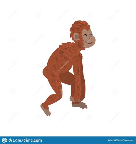Ape Monkey Animal Progress Biology Human Evolution Stage