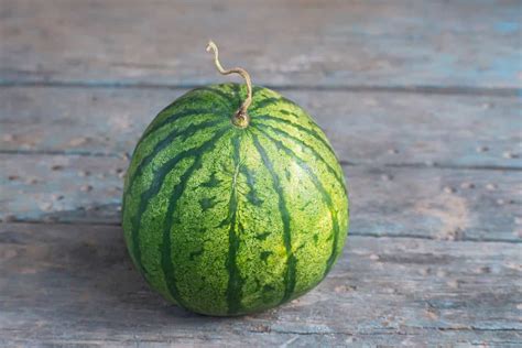 White Flesh Watermelon Minneopa Orchards