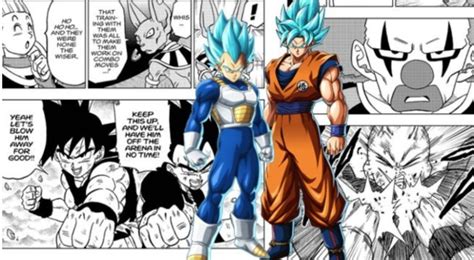 Br both have cards using the form. 'Dragon Ball Super' Finally Gives Goku and Vegeta a Well ...