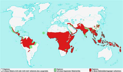 Zecken sind schwarz und so klein, dass sie fast unsichtbar sind. Malaria Karte Afrika | goudenelftal