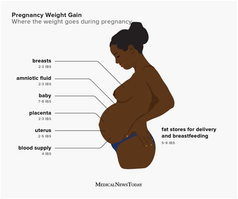 How Much Weight Gain Per Week Pregnancy Beauty Clog