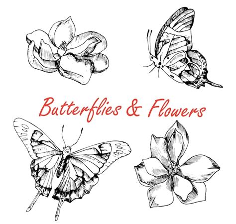Premium Vector Set Of Hand Drawn Butterflies And Flowers
