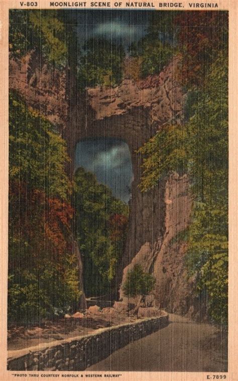 Vintage Postcard Moonlight Scene Natural Bridge Seven Natural Wonders