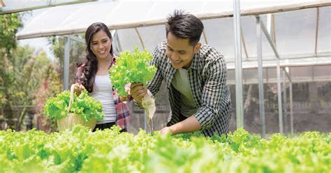 Menurut kajian yang dijalankan oleh penulis to sell is human, jenis perniagaan ataupun kerja yang sangat pesat berkembang di zaman kita ini boleh dirumuskan hanya kepada dua jenis sahaja: Jenis Usaha dengan Modal Kecil di Desa yang Bisa Dijalankan