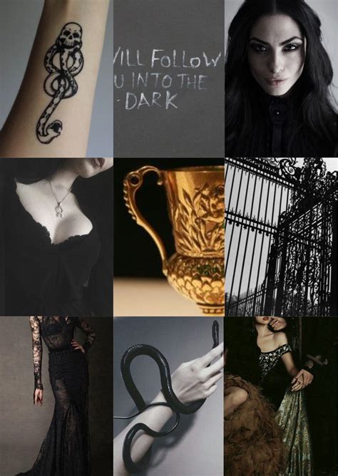 Bellatrix Black Lestrange Aesthetic Inspiration Harry Potter Harry