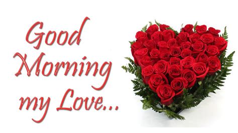 Good Morning My Love Hd Images And Pictures 2018 Romantic Good Morning