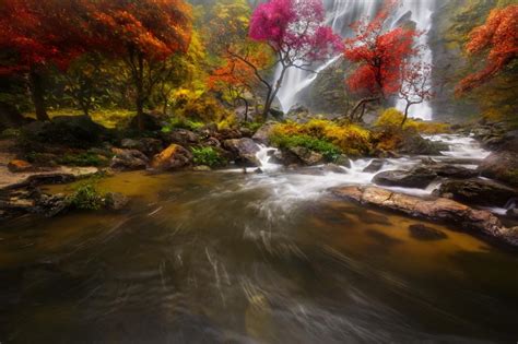 Waterfall River Hd Wallpaper Nature And Landscape Wallpaper Better