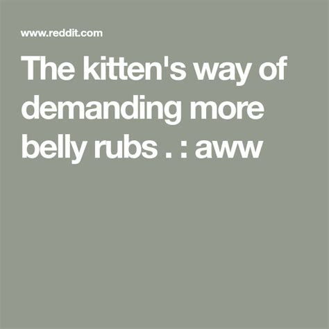 The Kittens Way Of Demanding More Belly Rubs Aww Kittens Rubs