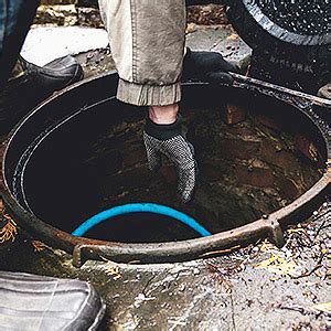 Commercial and residential pest control. Drainage Services | Rodent Proofing | West London ...